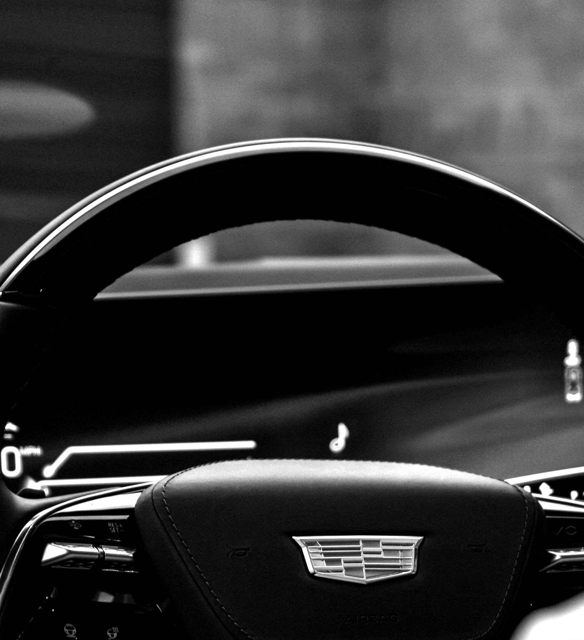 Steering wheel and digital gauge cluster detail